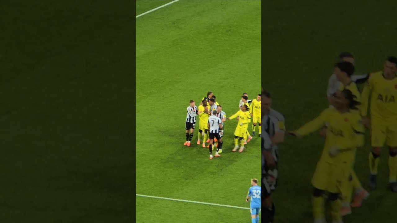 ARGUMENT BETWEEN NEWCASTLE AND SPURS PLAYERS: The Squads Argue During the Newcastle v Tottenham Game