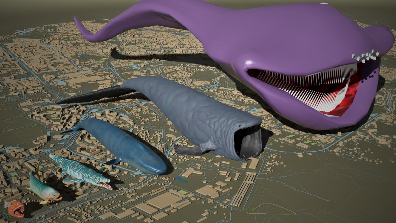 Sea Monster Size Clash: Bloop vs El Gran Maja π