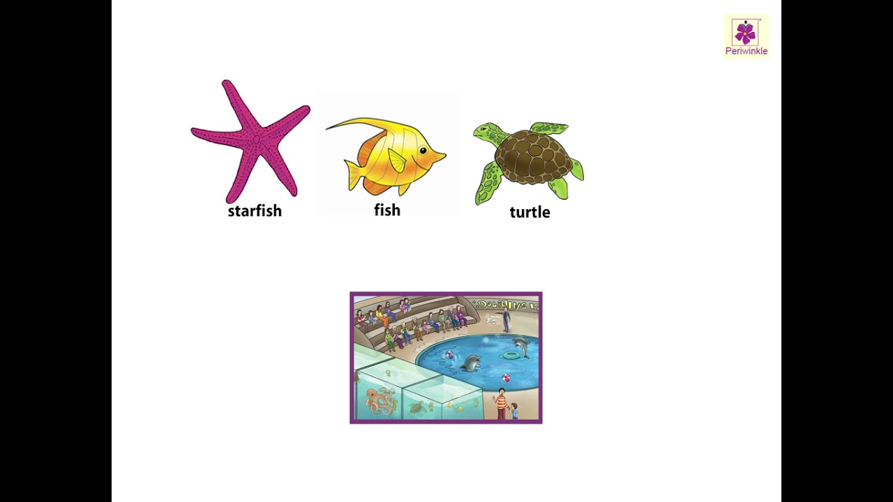 Water Animals | Now You Know Book A 🐠