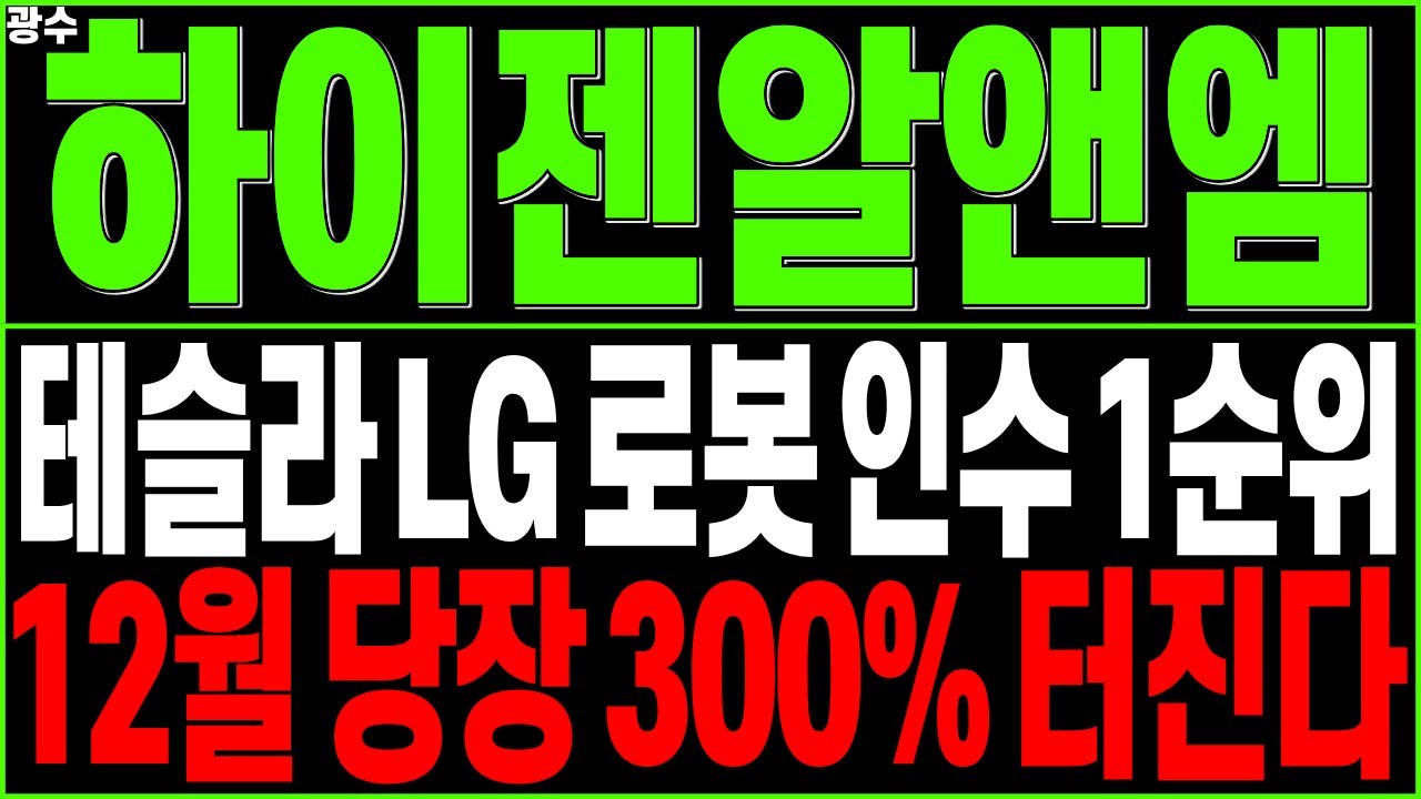 하이젠알앤엠, 12월 300% 상승 기대 🚀