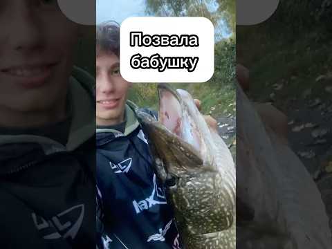 ПОЙМАЛ КРОКОДИЛА 🐊 #рыбалка #fishing #щука #рекомендации #music