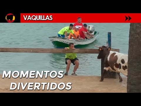 Divertidos Momentos con Vacas Bravas 2018 😂
