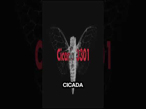 Cicada 3301 - The Internets Greatest Mystery #history #facts