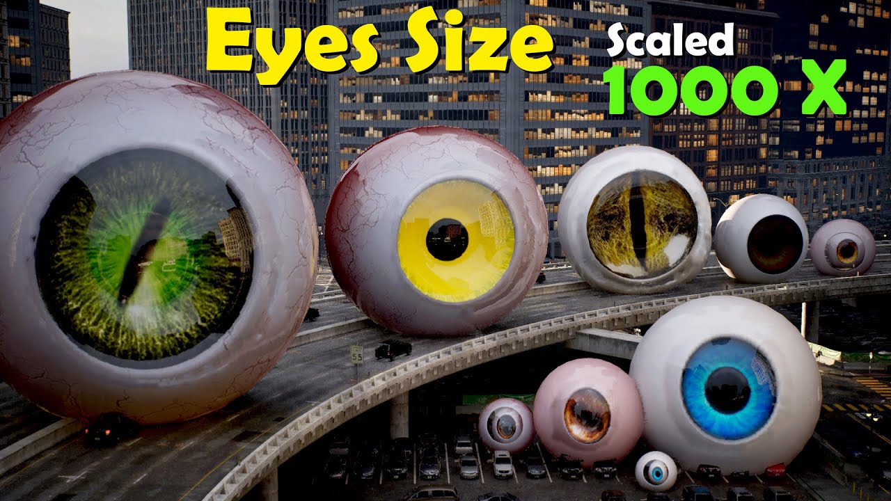 Monster Eye Size Comparison at 1000x π