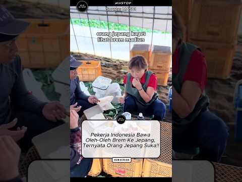 Pekerja Indonesia Bawa Oleh Oleh Brem Ke Jepang, Ternyata Orang Jepang Suka!! #trend #timnas #viral
