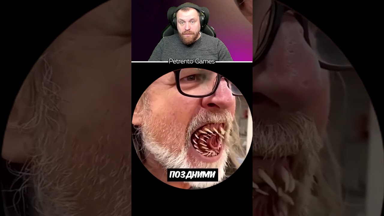 Петренто: смешные моменты и стримы 😄