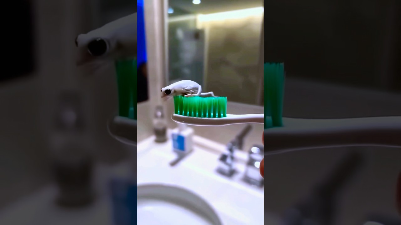 Toothpaste Surprise! π±π€ͺ