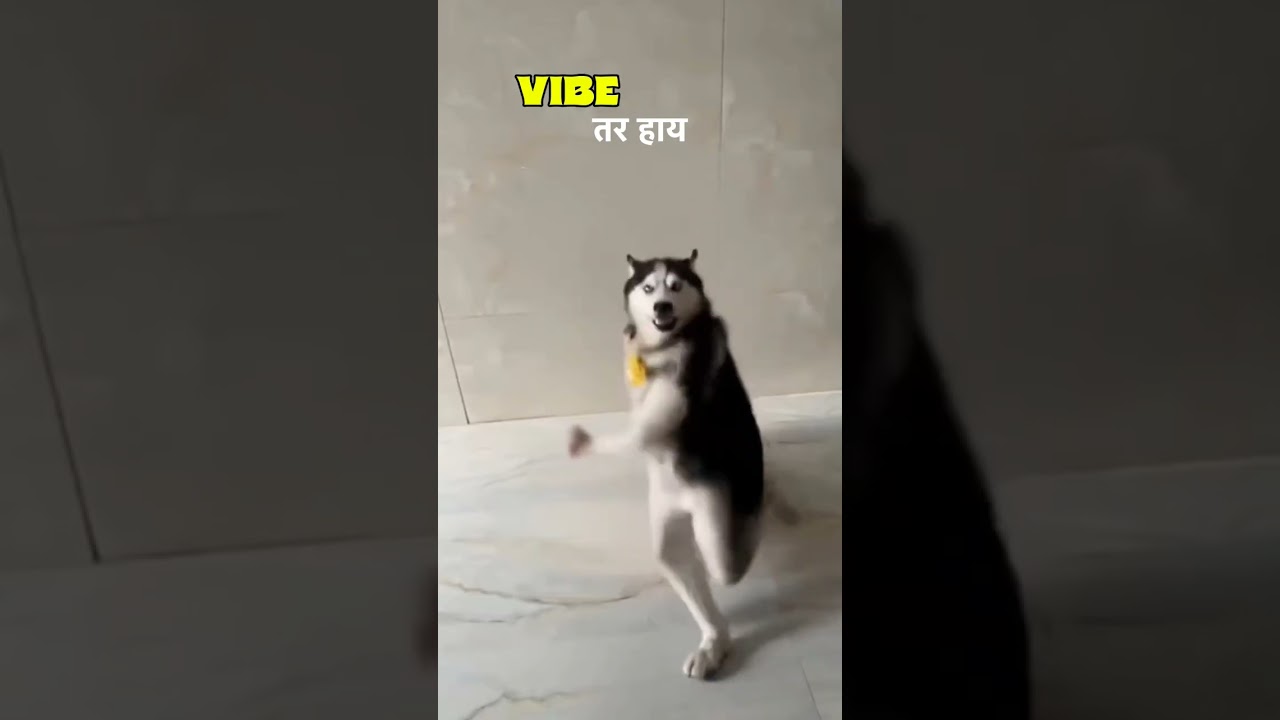 Santosh Mama 😂🤣😂😁 - Hilarious Meme Collection