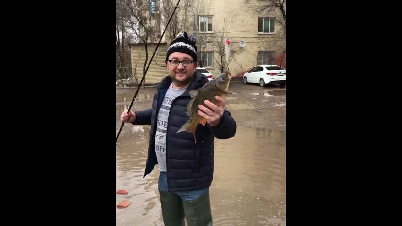 Мужик в Астрахани поймал огромного сазана 🎣