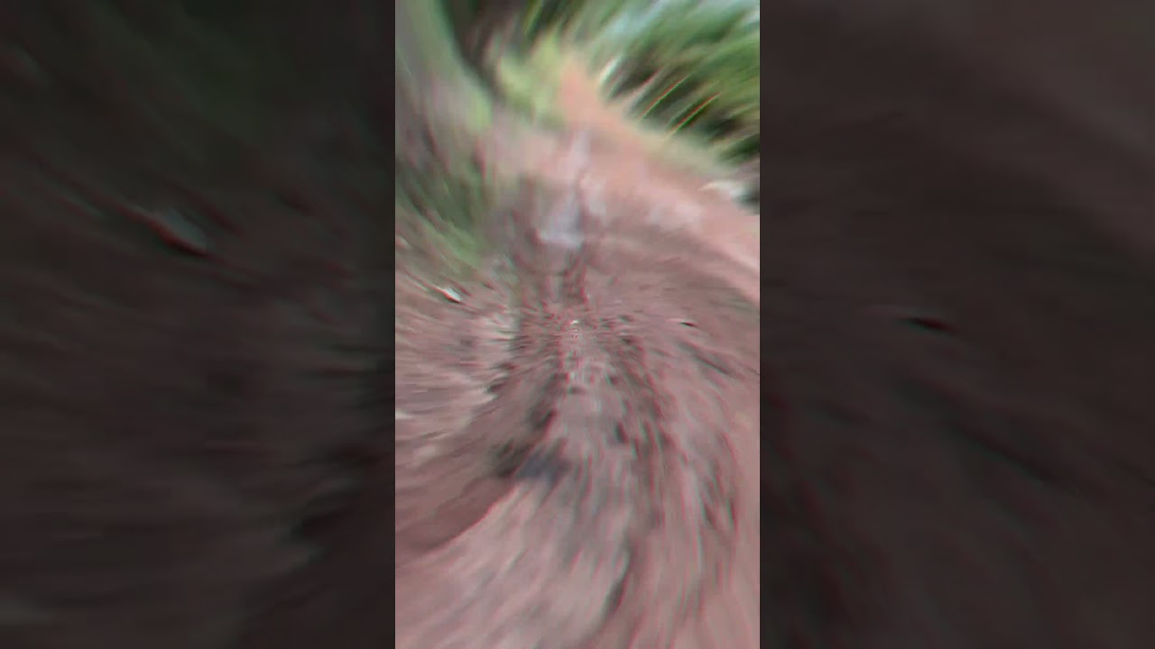 Bayar Bulan X Tanpa Sdp 😅