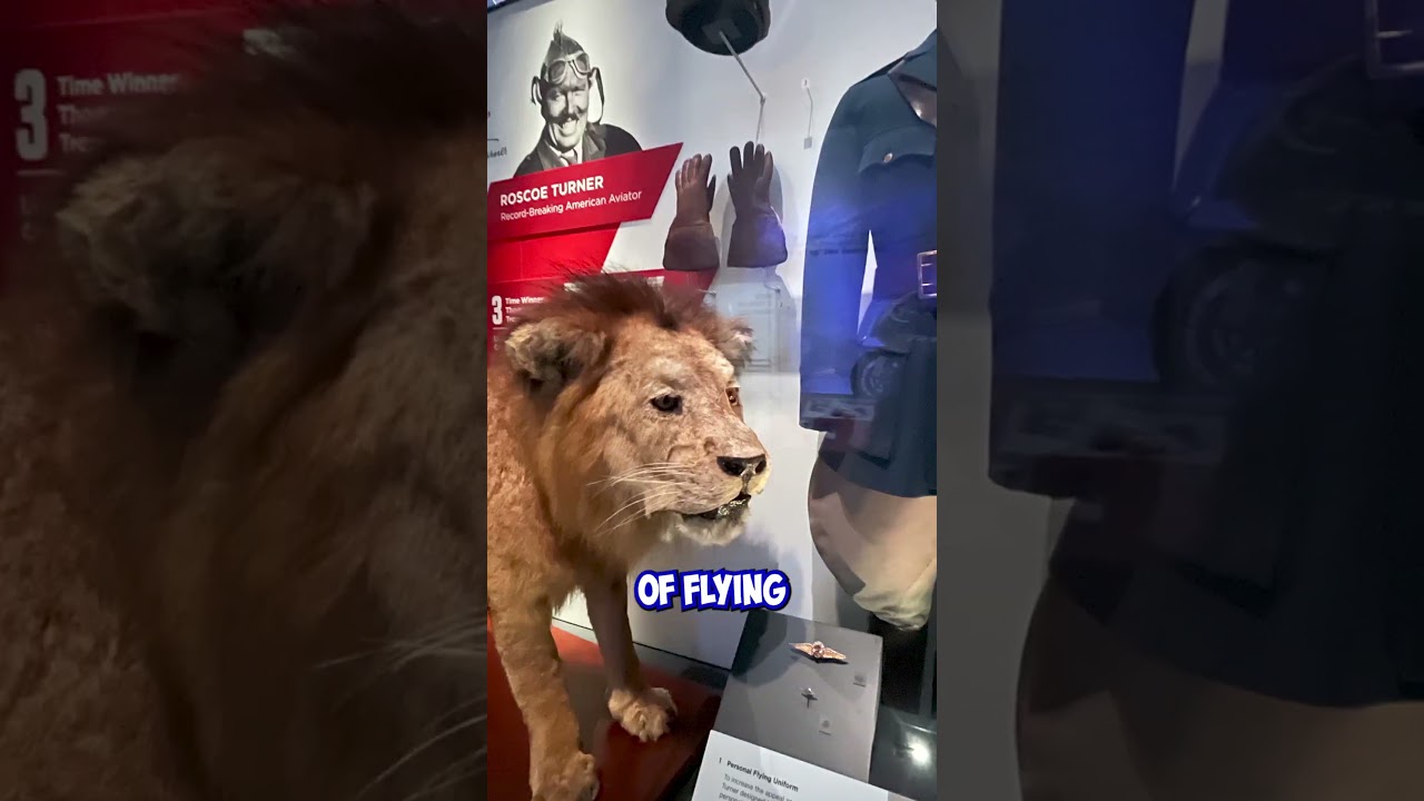 Aviation Legends at Smithsonian ✈️