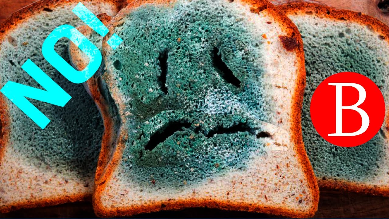 ¡Nunca comas la parte limpia de un pan con moho! ⚠️