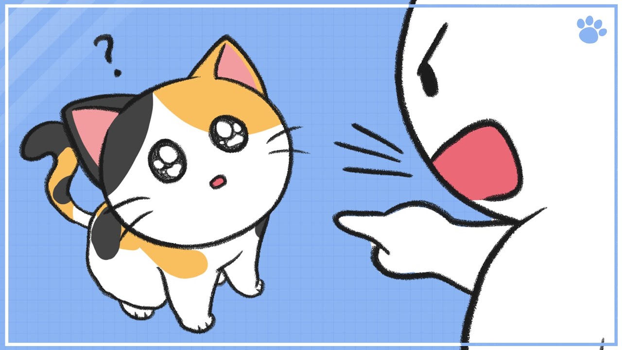 고양이 혼내는 올바른 방법 🐱