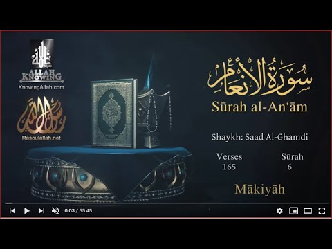 Surah Al-An`âm (The Cattle) - English Translation 📖