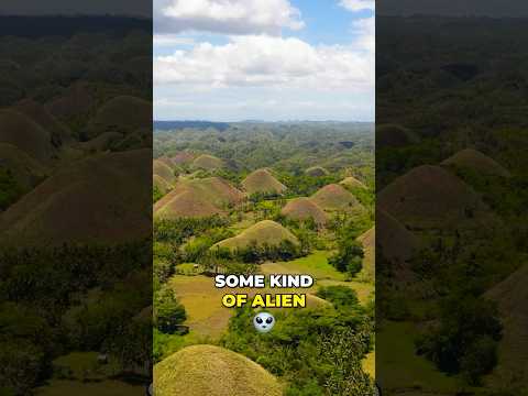 The Chocolate Hills in the Philippines