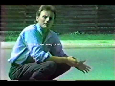 The Correct Way To Call Your Cat - the worst show