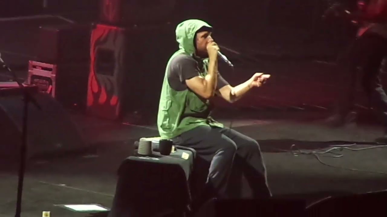 Rage Against the Machine Live in Hamilton ๐ธ