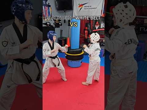 Blackbelt vs White Belt #taekwondo #martialarts #blackbelt #shorts
