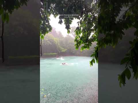 Feel the rain @ kerala #kerala #travel #monsoon #hindutemple #rain #pond #love #watertemple