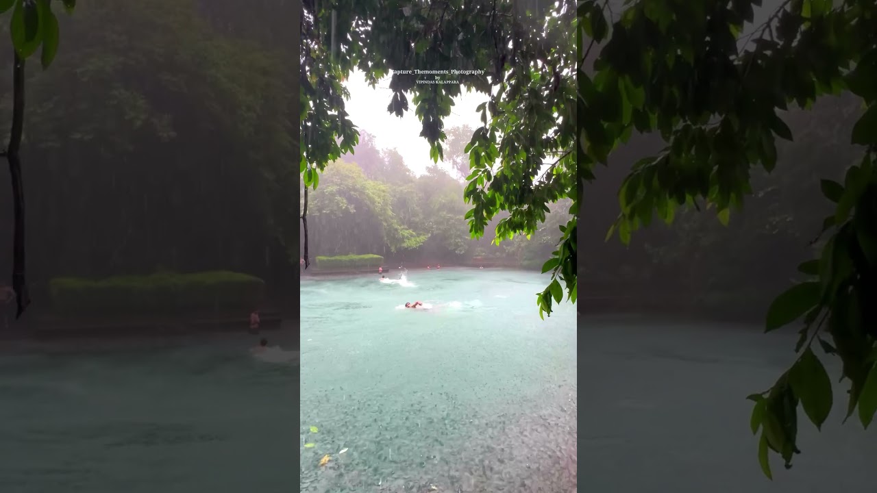 Experiencing the Rain in Kerala: A Monsoon Journey