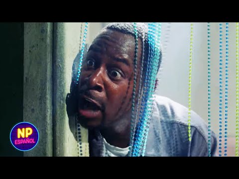 Escena De Balacera | Dos Policías Rebeldes 2 (2003) | Now Español