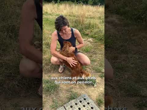 Chez Marth'87, une pension animalière qui cartonne sur les réseaux sociaux.