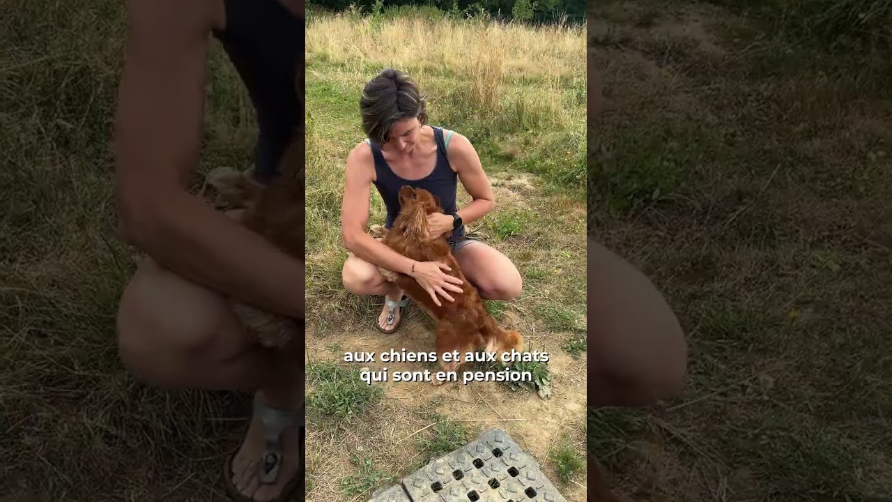 Chez Marth'87 : Une Pension Animalière Réputée sur les Réseaux Sociaux