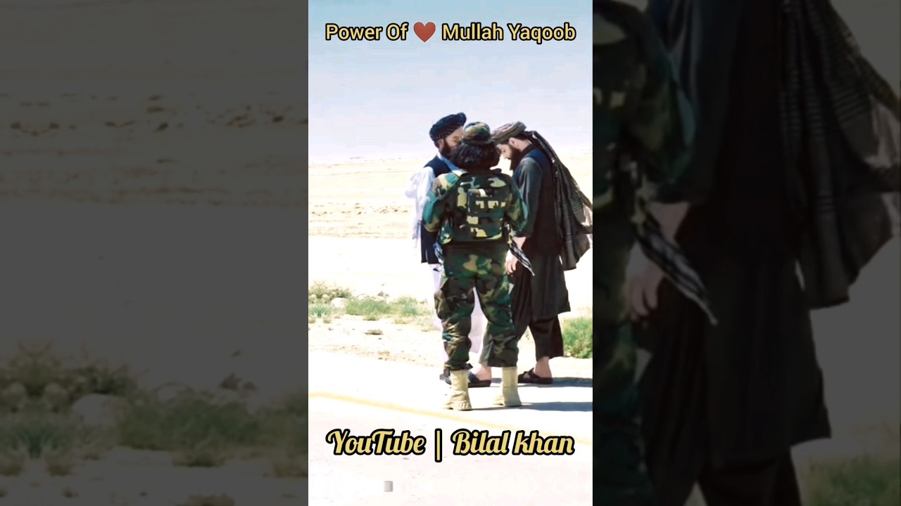 Mullah Yaqoob King attatude status مولو محمد ہعقوب مجاھد #taliban #voral #attitudestatus #shorts