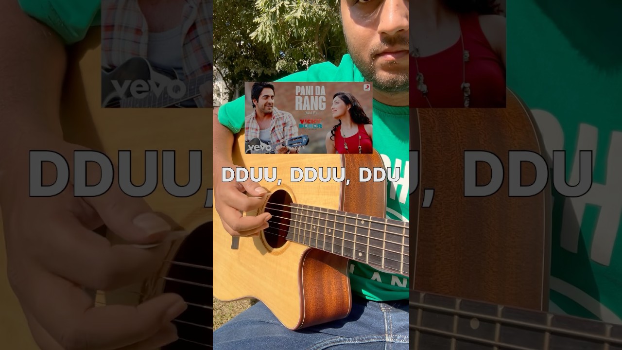 Pani da Rang | Easy guitar lesson for beginners