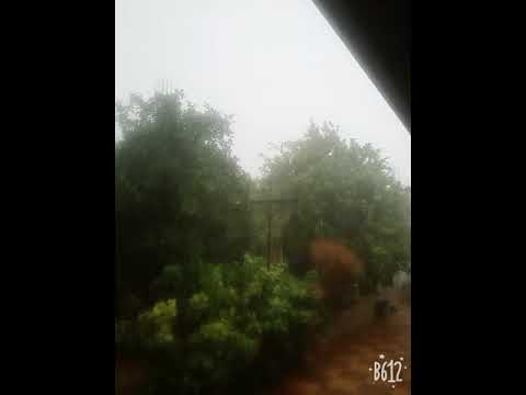 أخبار اليوم في الجزائر: آخر المستجدات والتطورات 🇩🇿