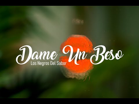 DAME UN BESO - LNS Los Negros Del Sabor (Video Oficial)