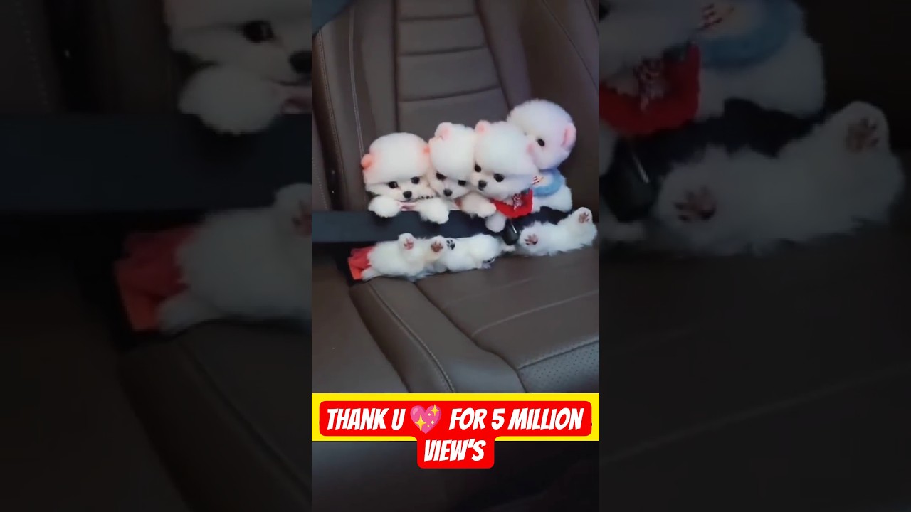 Adorable Teacup Dog Breeds & Miniature Puppy Toys 🐶 | Handcrafted Wood Art