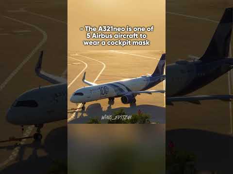 Fun Facts About The Airbus A321neo 🤩