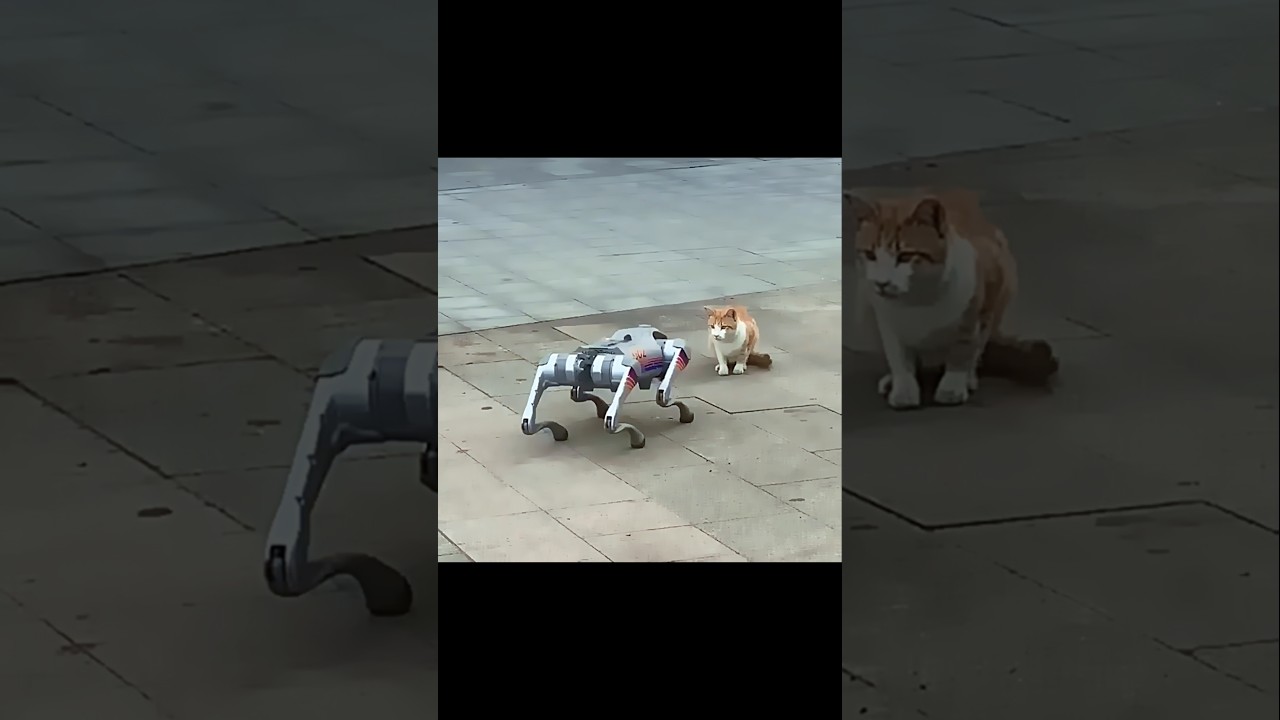 Dog Gets Spooked by Robot, Cat Remains Calm πΊ | Trending Animal Encounter