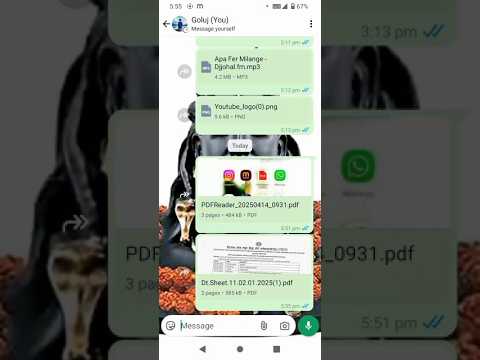 How To Send Pdf In Whatsapp | Pdf Kaise Bhejte Hain Whatsapp per #whatsappdp #pdf