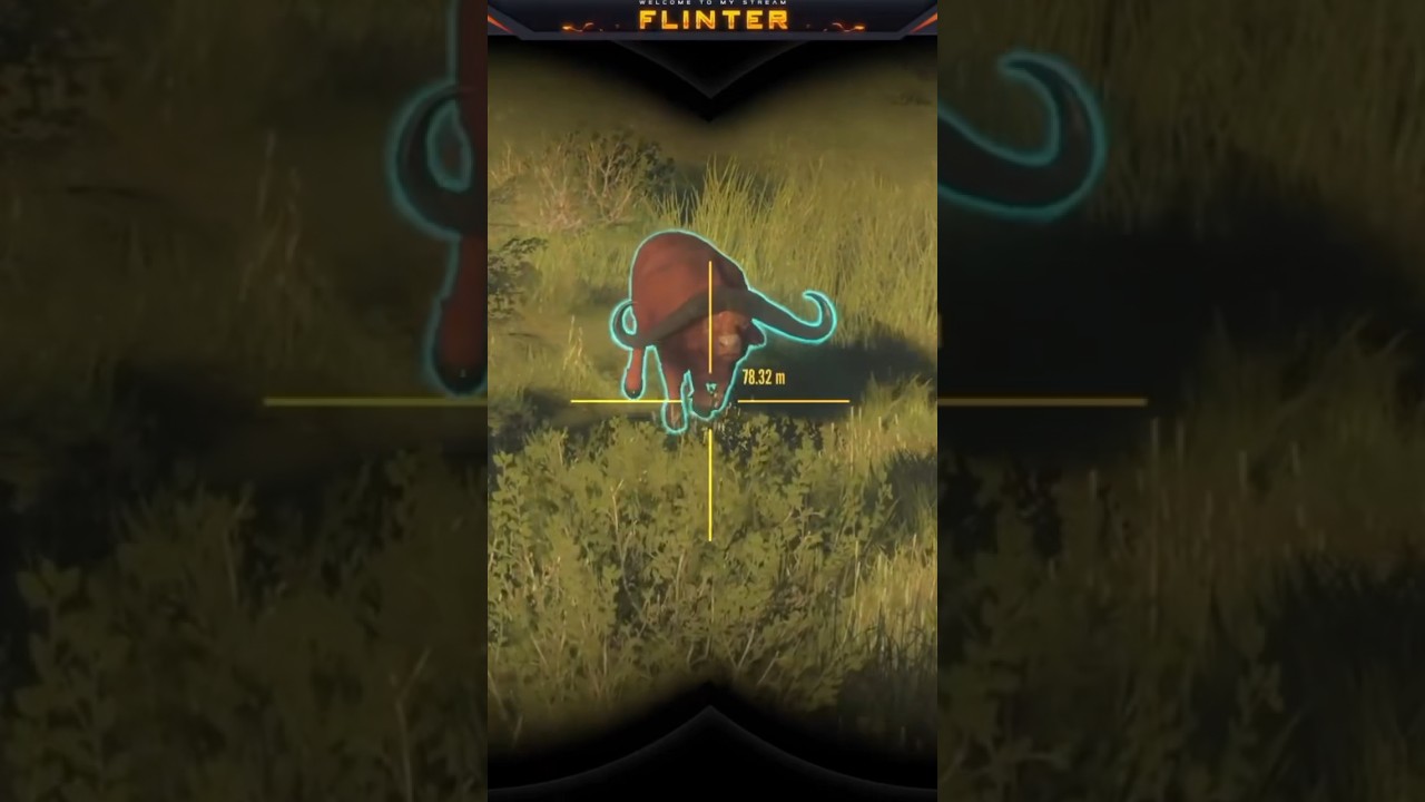 Charged by a Giant Diamond Cape Buffalo 🐃