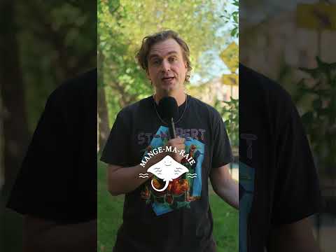 Les meilleurs Restaurants à Montréal #humour #montreal