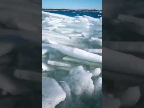 Ледниковый период #музыка #reels #respect #звукиприроды #мелодиядуши