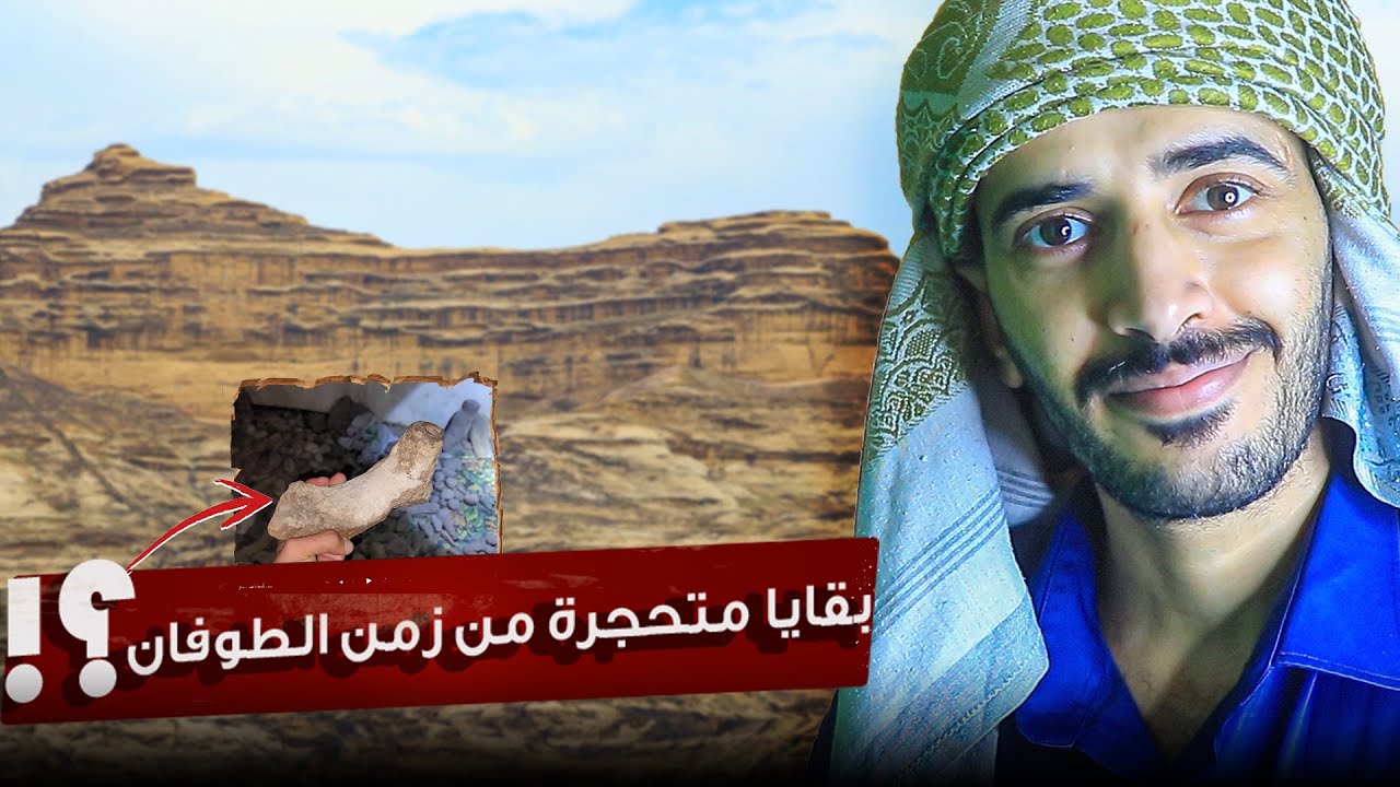 اكتشاف فواكه وأخشاب متحجرة من سفينة نوح في جبال نهم باليمن