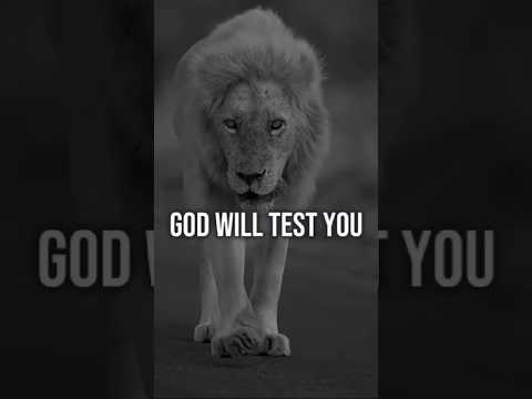 #motivational #motivationalquotes #quotes #foryou #fyp #uk #motivationalvideo #successmindset