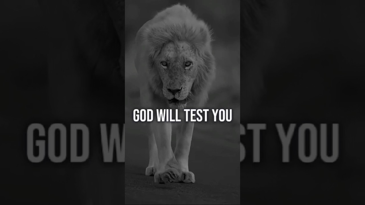 Boost Your Success Mindset 💪 | Motivational Quotes to Inspire You