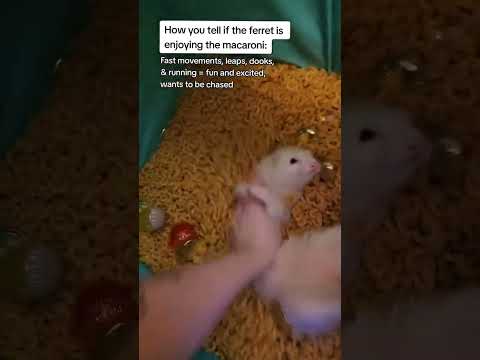 How can you tell if they like it