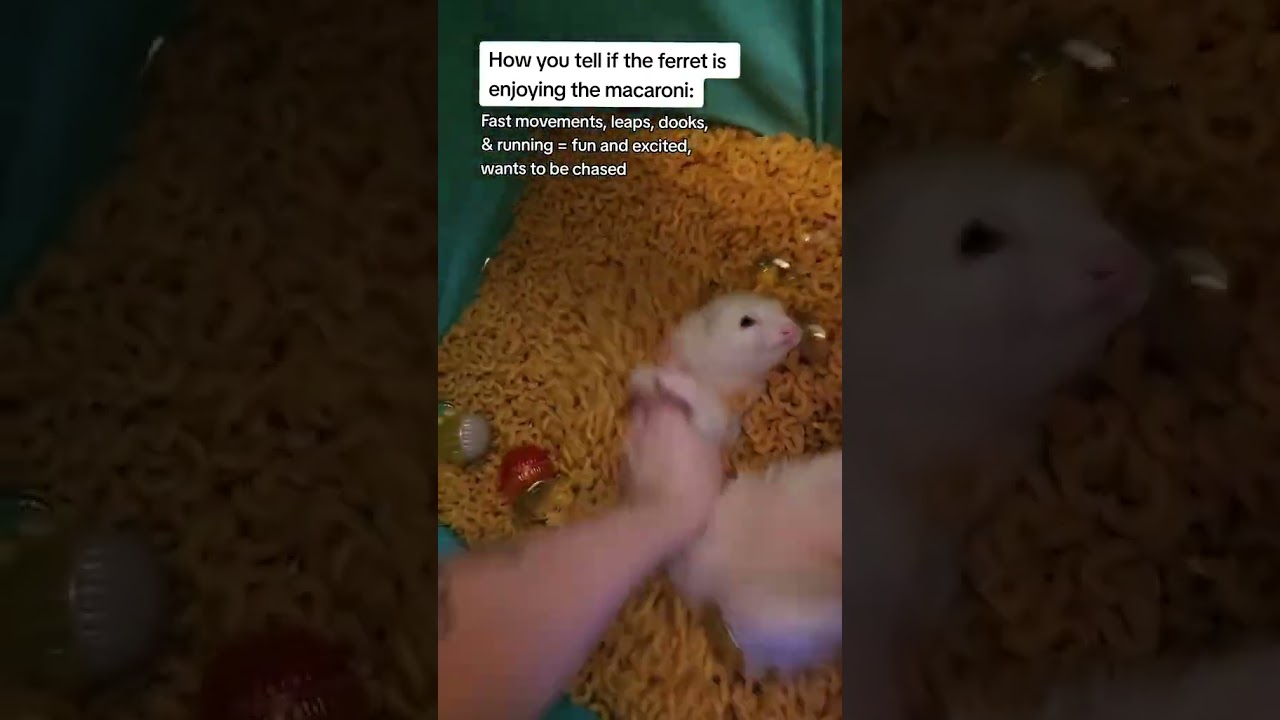 How to Know if Someone Likes You ❤️