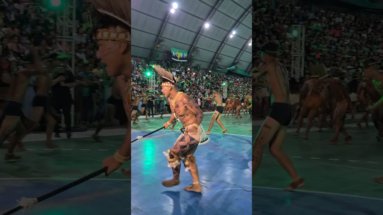 Festribal: Celebrando a Cultura Indígena do Alto Rio Negro 🌿