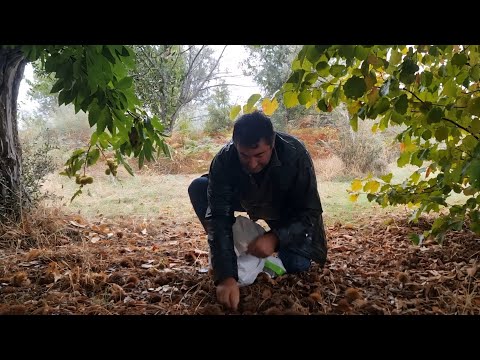 Buenos días vamos a ver qué tal el día 😉