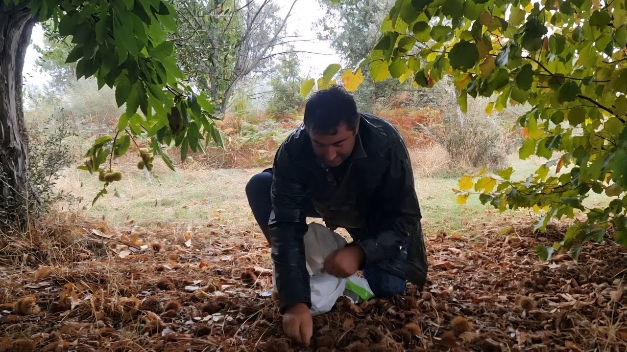 ¡Buenos días! Descubre cómo empezar tu día con energía y ventajas exclusivas ☀️