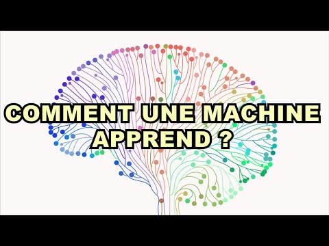 COMMENT FONCTIONNE LE MACHINE LEARNING ?