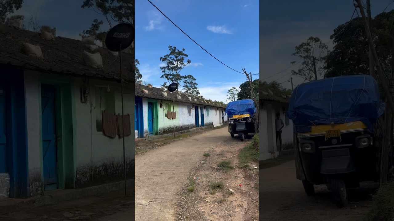 Discover the Authentic Tea Powder Routine in Munnar 🌿 | Mini Vlog