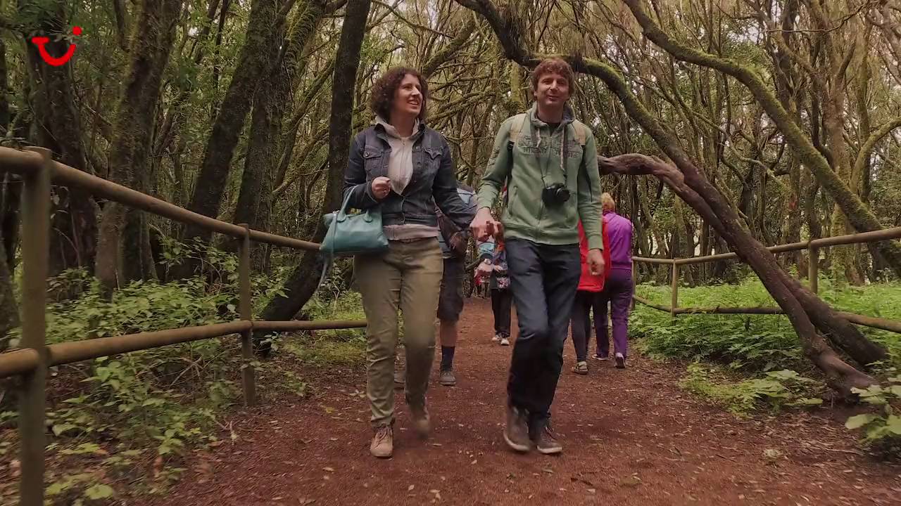 La Gomera Day Trip from Tenerife 🌴 | TUI Musement