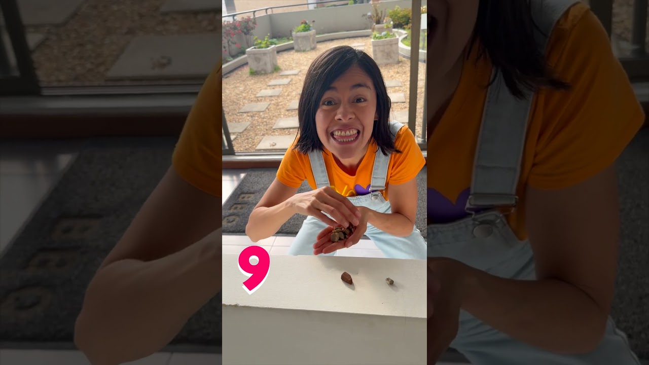 Divertidas canciones educativas para niños 🎵 | ¡Aprende matemáticas con 123andres!